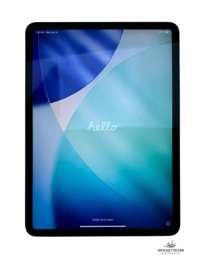 Apple iPad Pro 11" 2nd Gen A2230 - 256GB WiFi/Cellular Space Gray - READ #234397