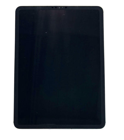 Apple iPad Pro 11" 2nd Gen A2230 - 256GB WiFi/Cellular Space Gray - READ #234397