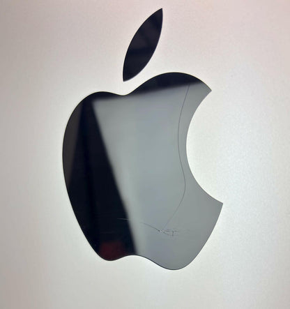Apple Mac Pro A1991 2019 8-Core W-3223 1TB SSD 96GB RAM W5700X - READ #250082