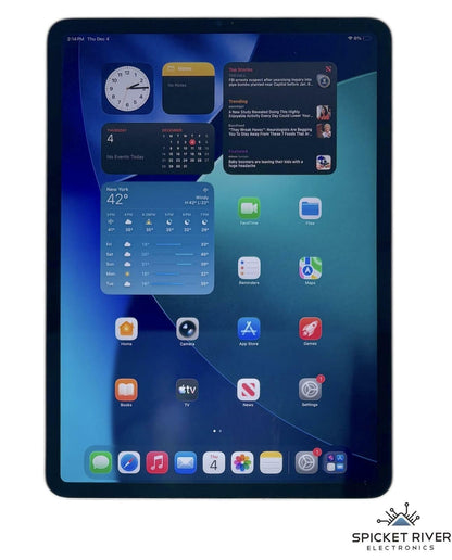 Apple iPad Pro 11" 3rd Gen A2301 - 256GB Unlocked - WiFi Cellular Silver Tablet