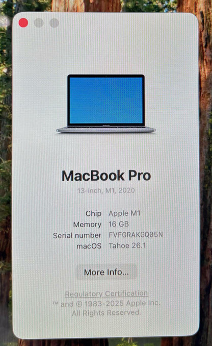 Apple MacBook Pro A2338 13" 2020 3.20GHz 8-Core M1 512GB SSD 16GB RAM #207290