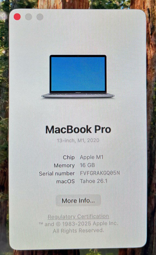 Apple MacBook Pro A2338 13" 2020 3.20GHz 8-Core M1 512GB SSD 16GB RAM #207290